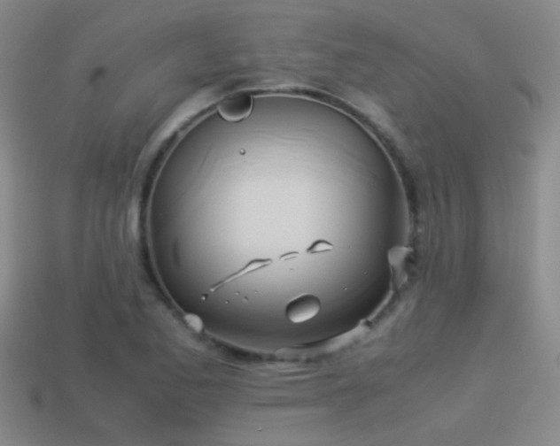 X0000114151173200910151537
