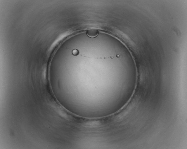 X0000114151174200910151537