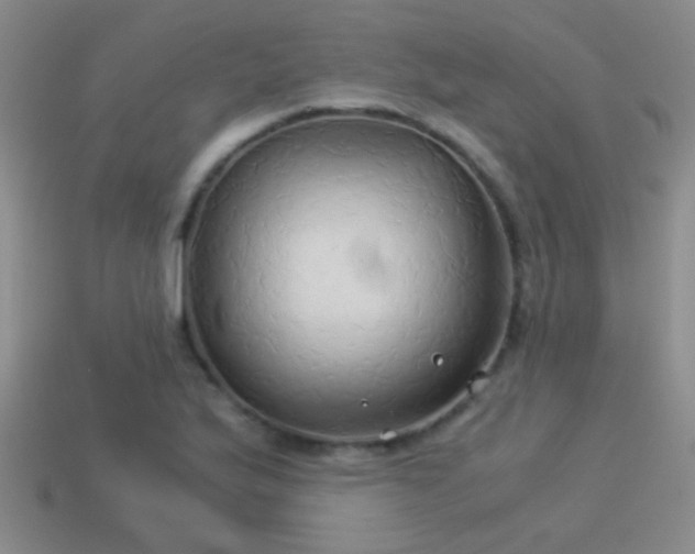 X0000114151175200910151537