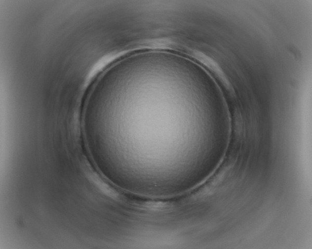 X0000114151176200910151537