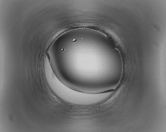 X0000114151177200910151537