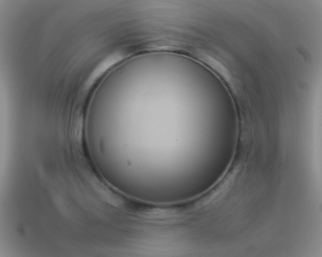 X0000114151179200910151537