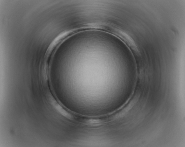X0000114151180200910151537