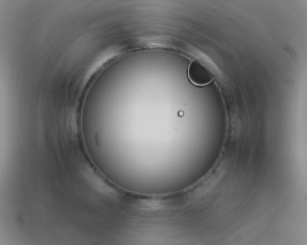 X0000114151182200910151537