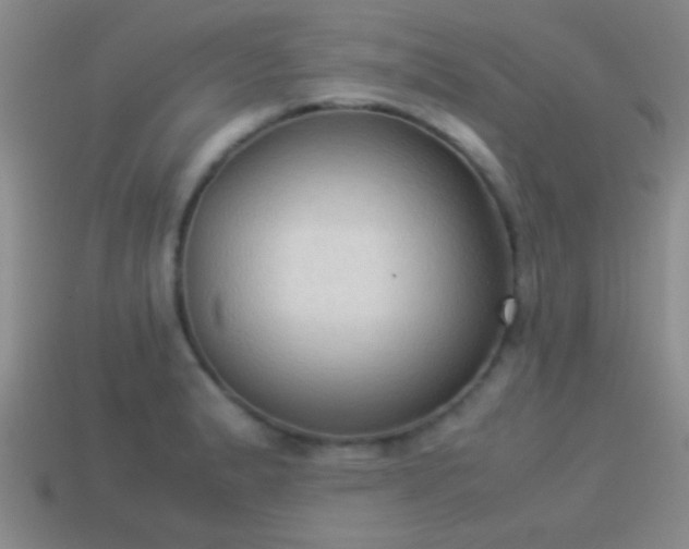 X0000114151183200910151537