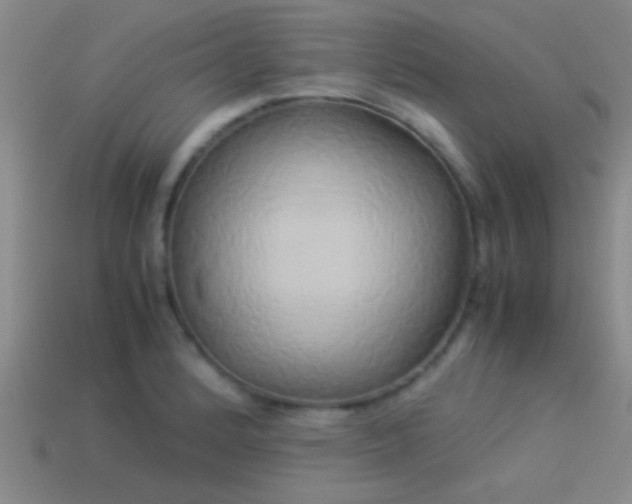 X0000114151184200910151537