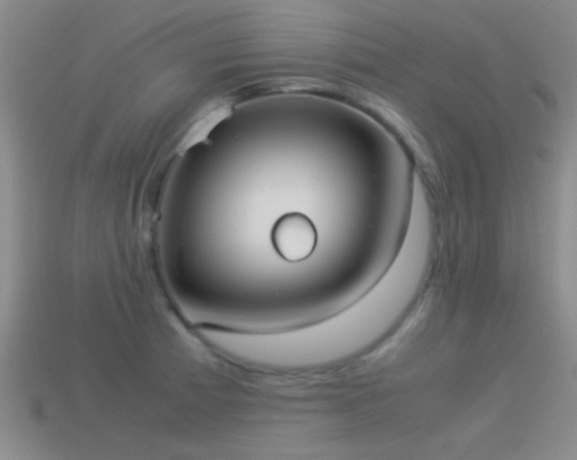 X0000114151185200910151537