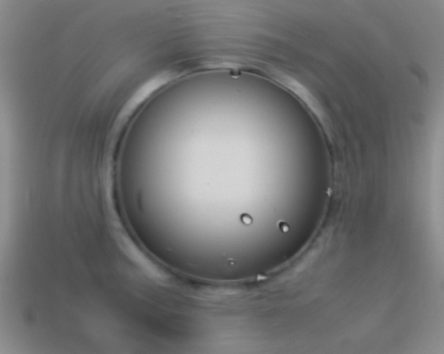 X0000114151187200910151537