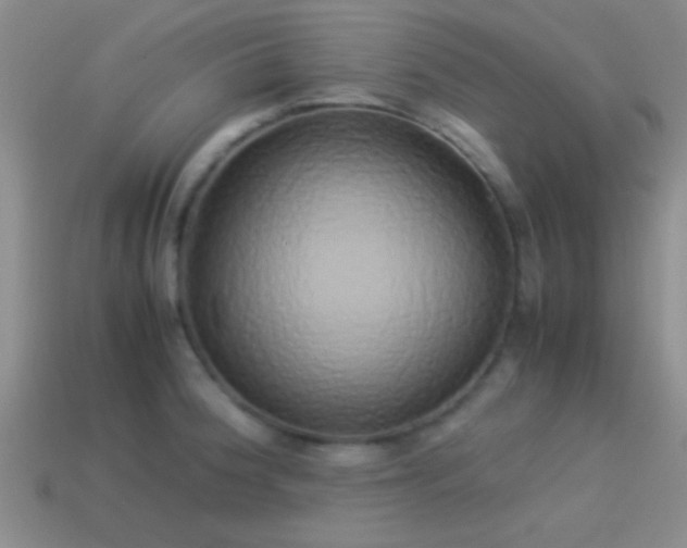 X0000114151188200910151537