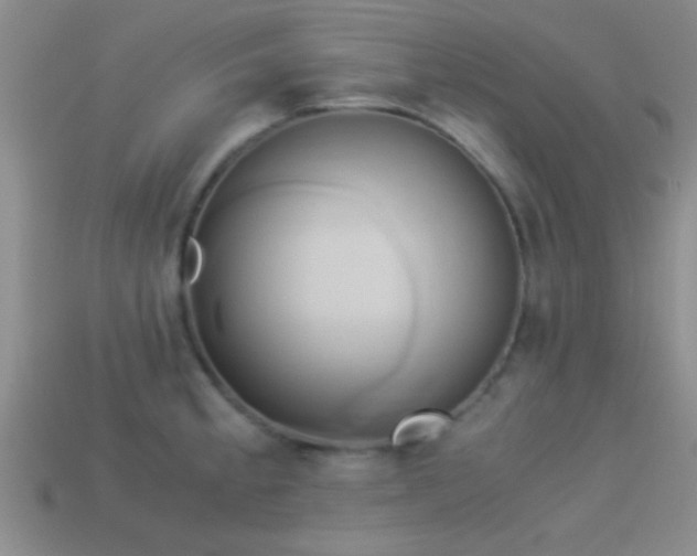 X0000114151189200910151537