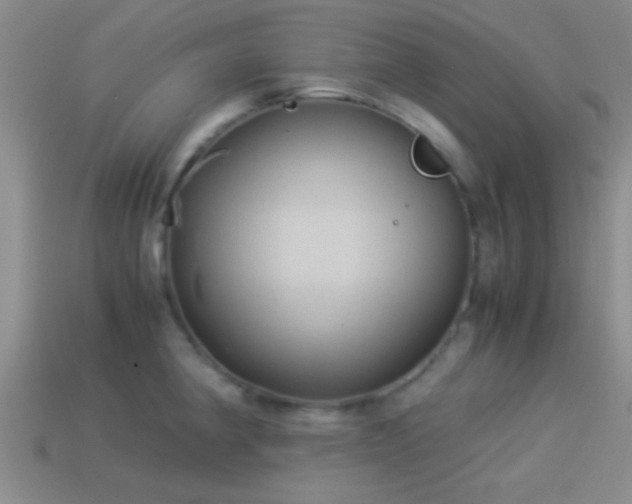 X0000114151190200910151537