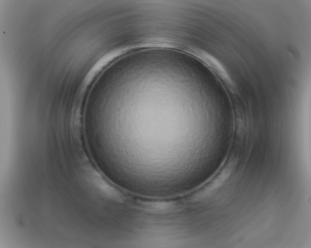 X0000114151192200910151537