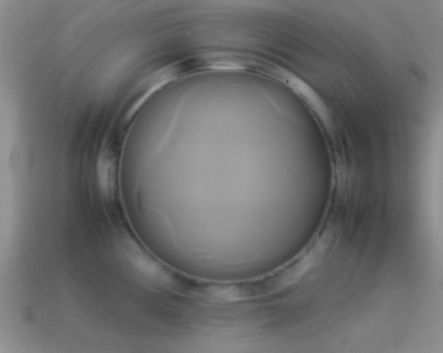 X0000114151194200910151537