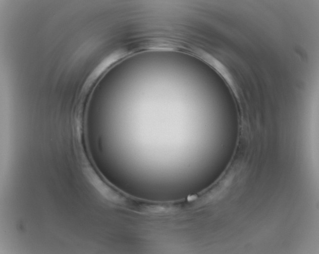 X0000114151195200910151537