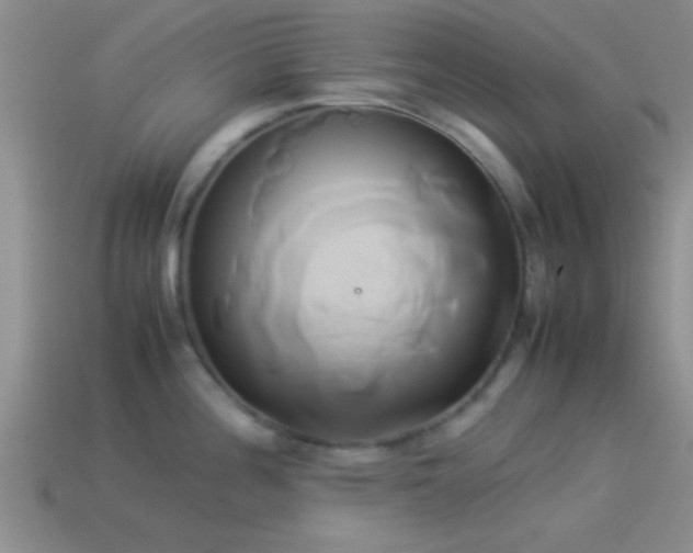X0000114151196200910151537