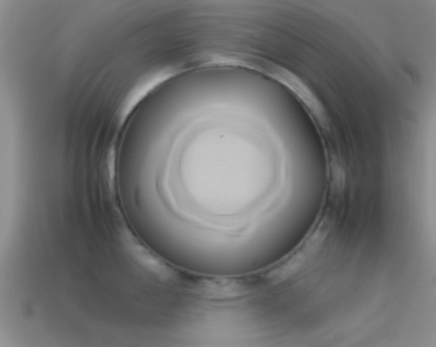 X0000114151198200910151537