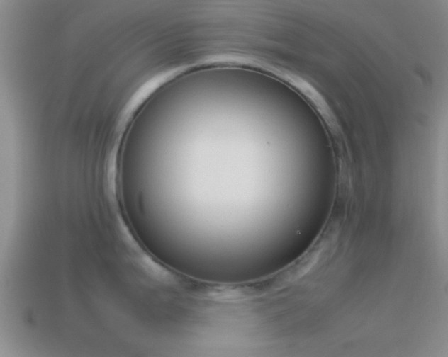 X0000114151199200910151537