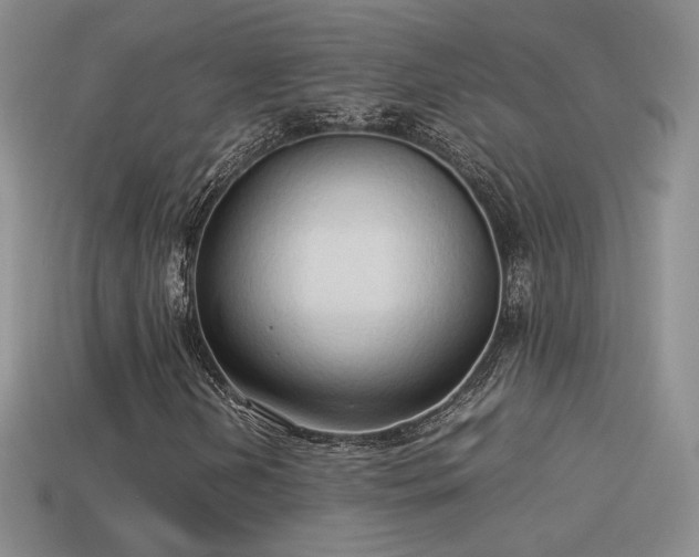 X0000114151202200910151536