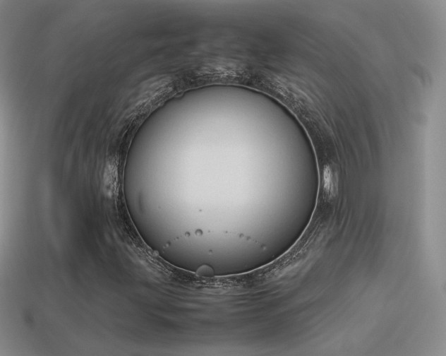 X0000114151203200910151536