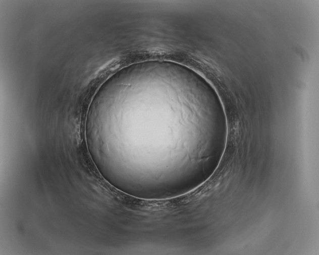 X0000114151205200910151536