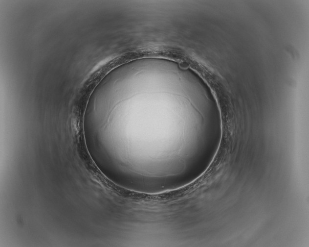 X0000114151206200910151536