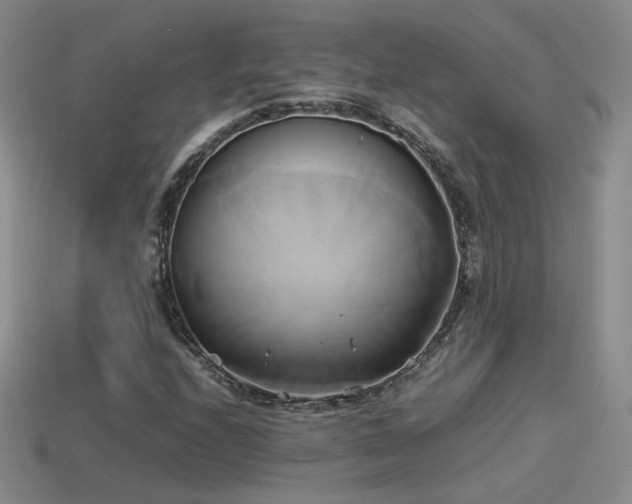 X0000114151208200910151536