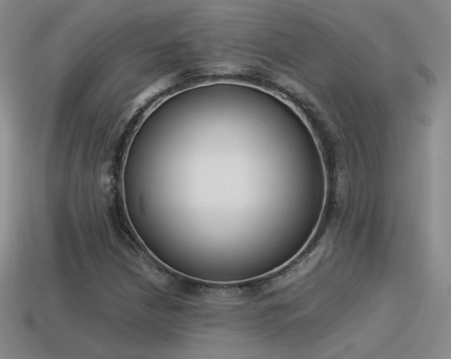 X0000114151210200910151536
