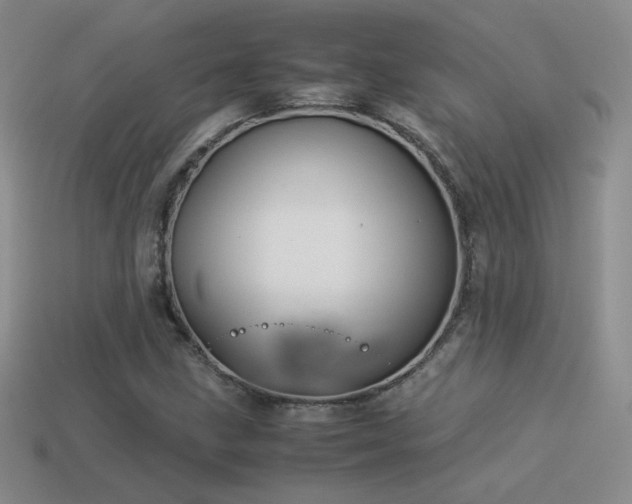 X0000114151211200910151536