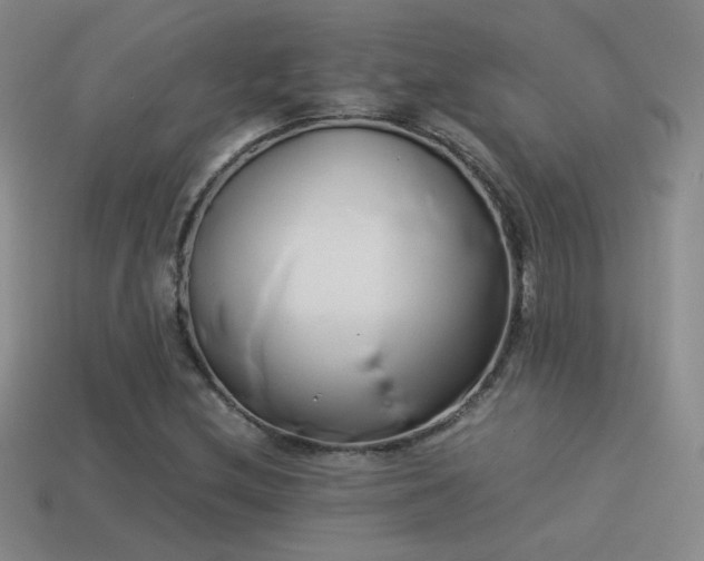 X0000114151212200910151536
