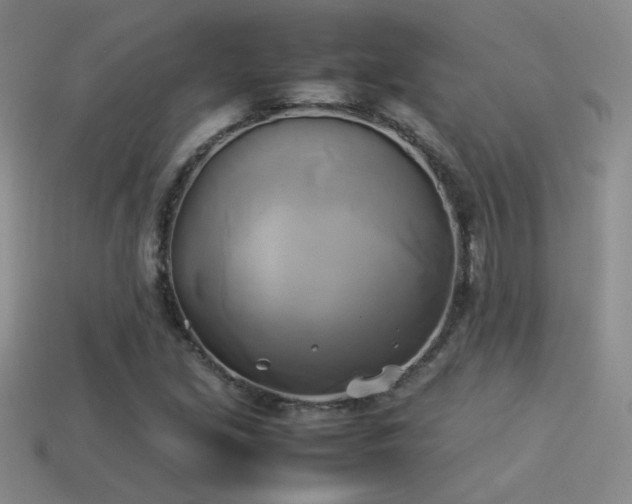 X0000114151213200910151536