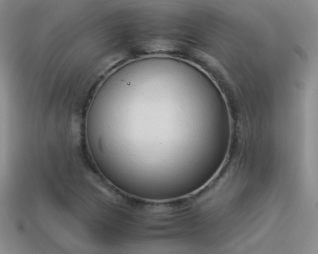 X0000114151217200910151536