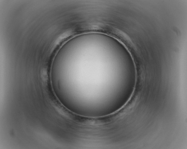 X0000114151218200910151536