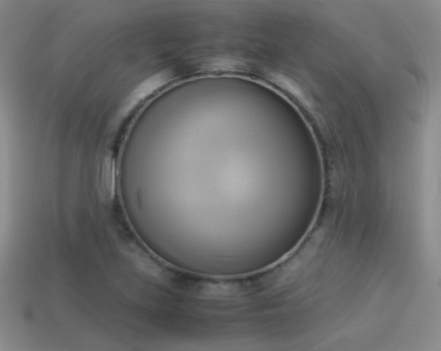 X0000114151219200910151536
