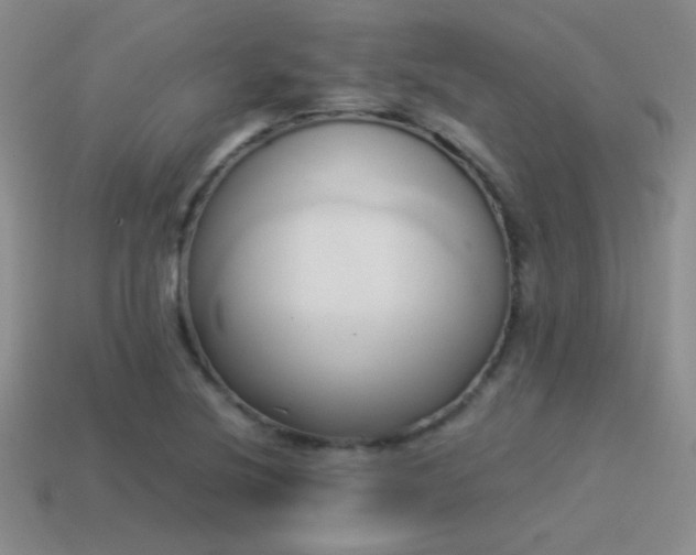 X0000114151220200910151536