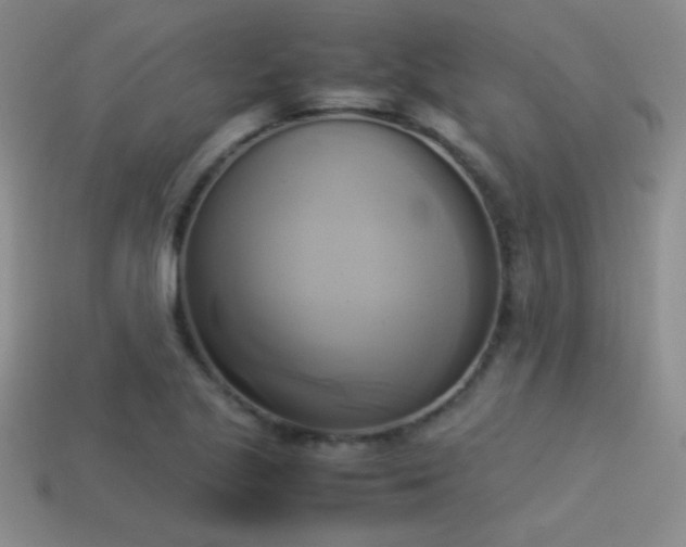 X0000114151221200910151536
