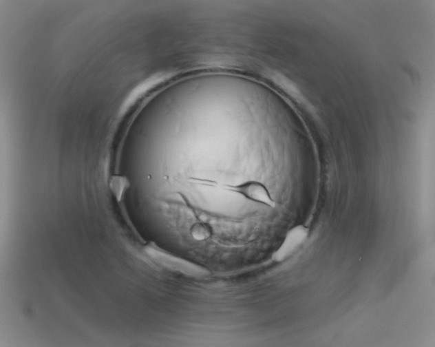 X0000114151222200910151537