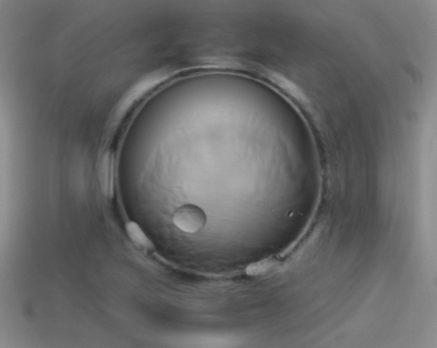 X0000114151223200910151537