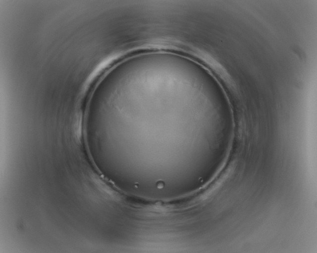 X0000114151224200910151537
