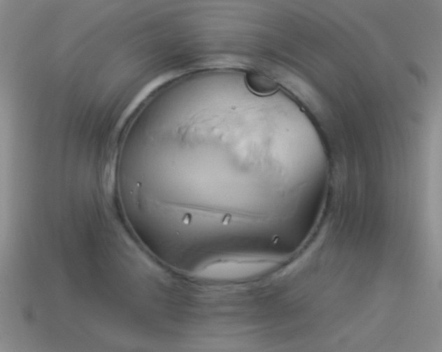 X0000114151228200910151537