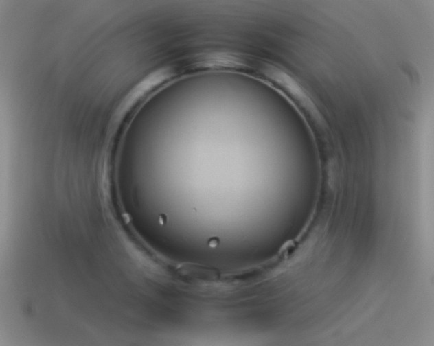 X0000114151229200910151537