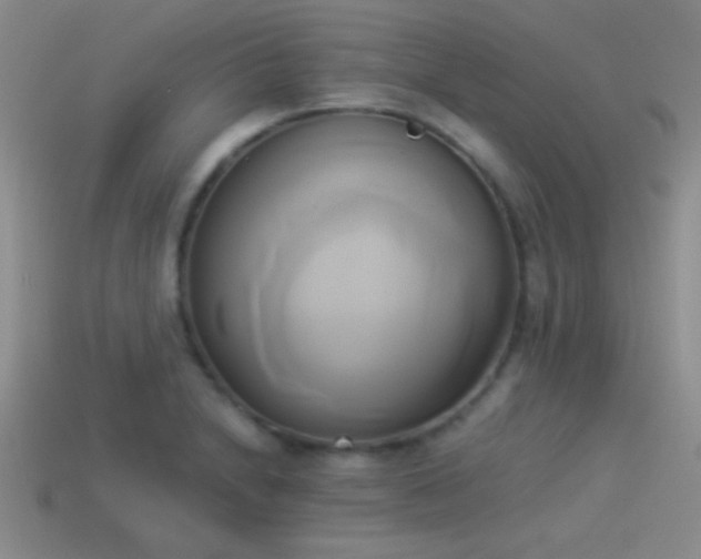 X0000114151230200910151537
