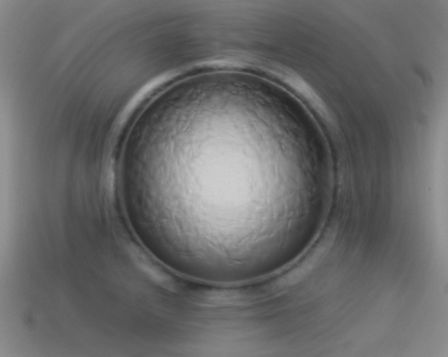 X0000114151232200910151537