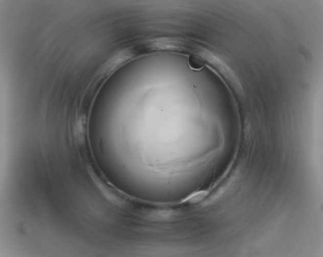 X0000114151233200910151537