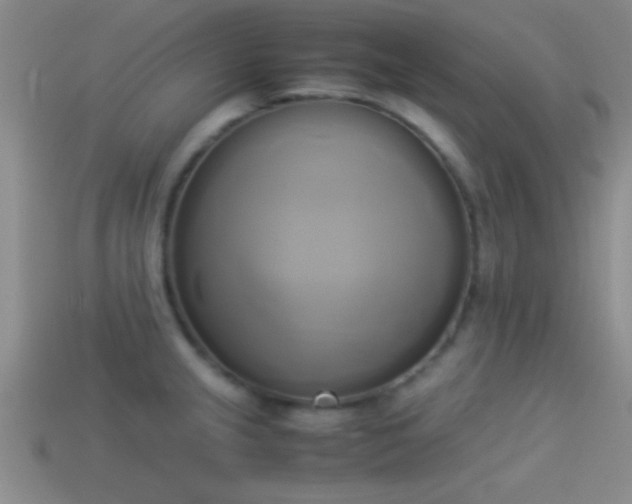 X0000114151237200910151537