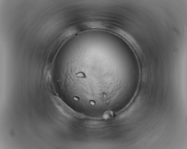 X0000114151241200910151537