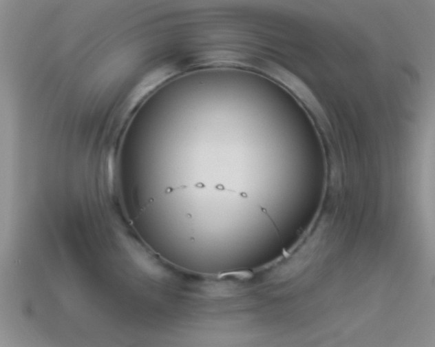 X0000114151242200910151537