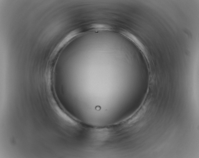 X0000114151243200910151537