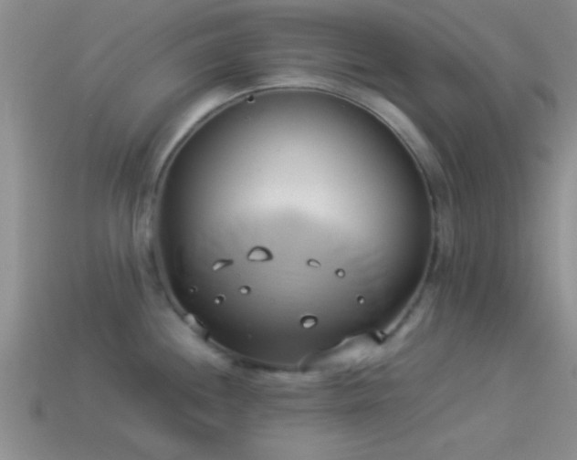 X0000114151244200910151537