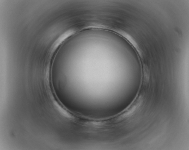X0000114151245200910151537