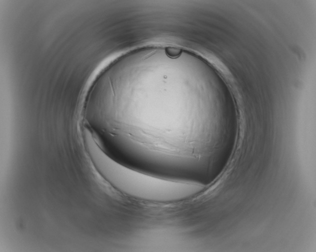 X0000114151248200910151537